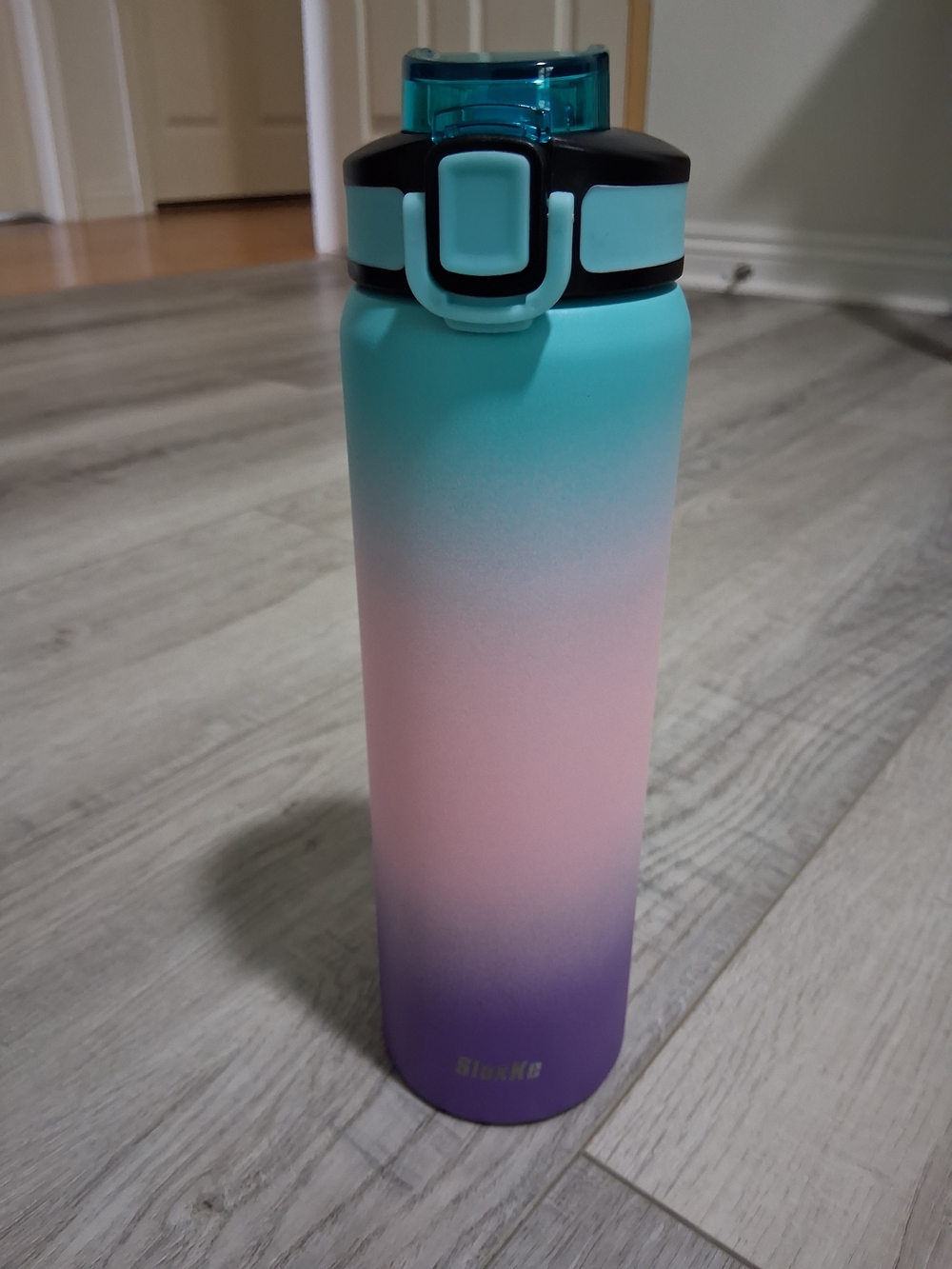 Gradient Ombre Stainless Water Bottle - Teal Pink Purple